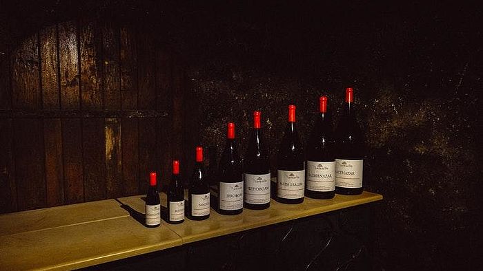 Wein einlagern - so geht's richtig