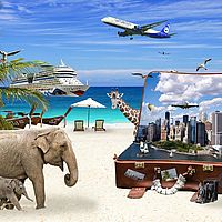 Habseligkeiten bei einer Weltreise im günstigen Self Storage Zürich einlagern